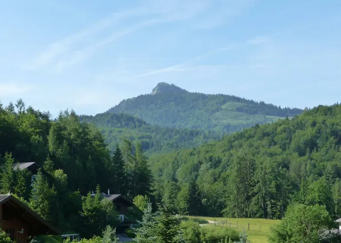 公寓 Haus Lungau 湖滨福煦